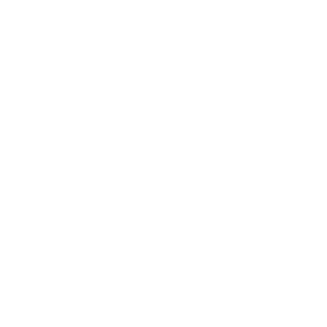 scale